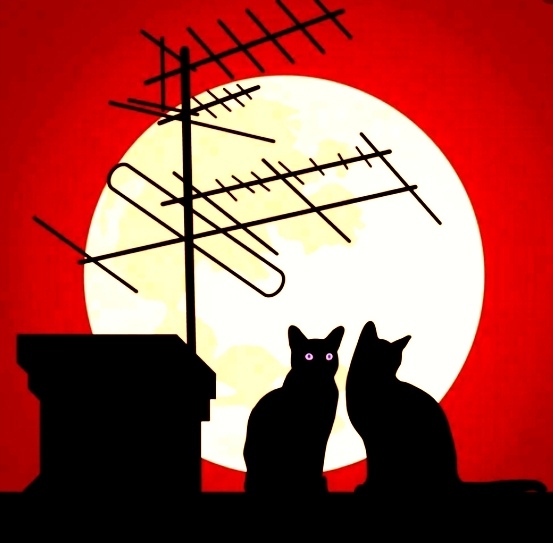 Ремонт антенн в Новосибирске